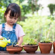 soil health education children citizens