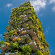 green roofs buildings cities