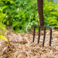 Soil Preservation Tillage