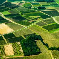 Crop rotation Agricultural Land